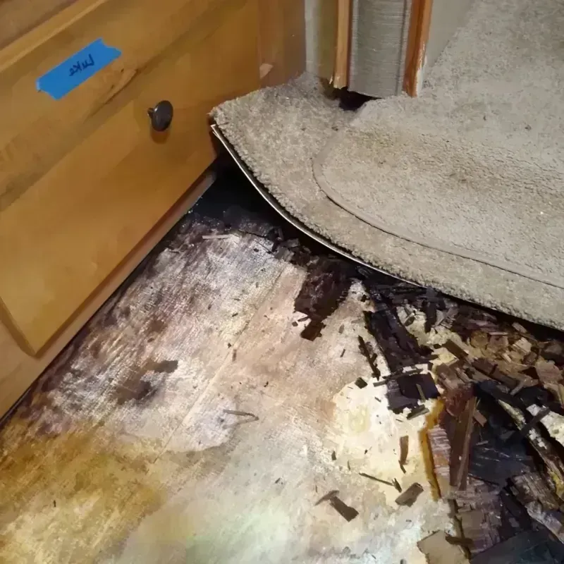 Wood Floor Water Damage in Iowa County, WI